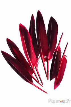 Gans - 12-18 cm - rot-kaffee